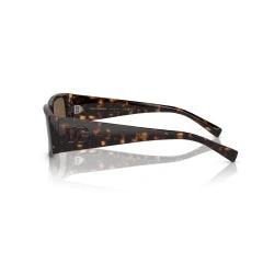 DOLCE & GABBANA DG 4453 - 502/73 L'AVANA | OCCHIALE DA SOLE UOMO CALIBRO 55