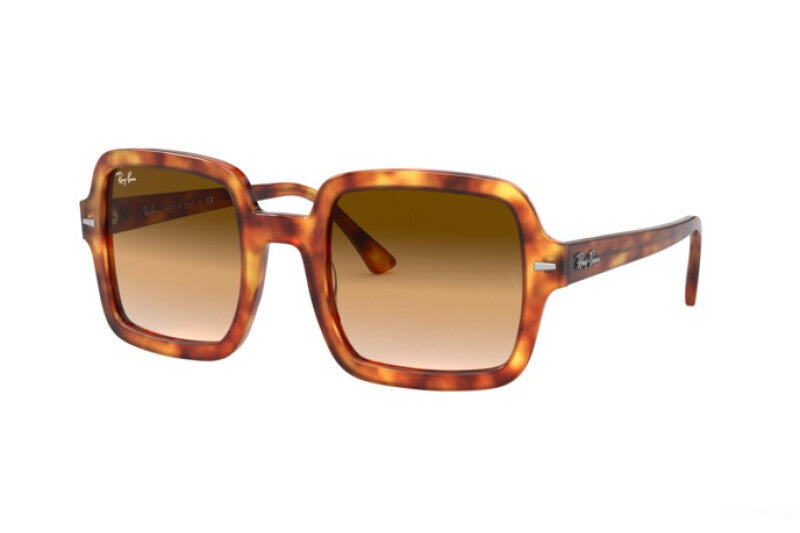 OCCHIALI DA SOLE RAY-BAN RB 2188 (130051) calibro53