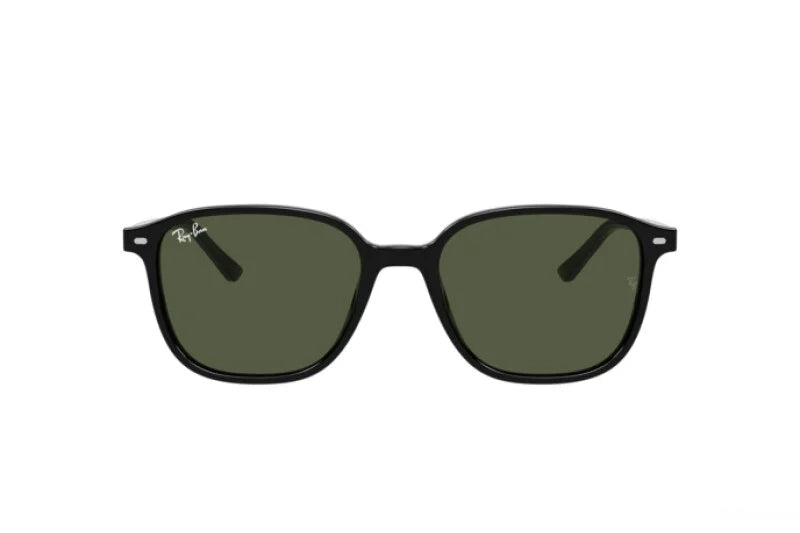 OCCHIALI DA SOLE RAY-BAN LEONARD RB 2193 (901/31) calibro 53