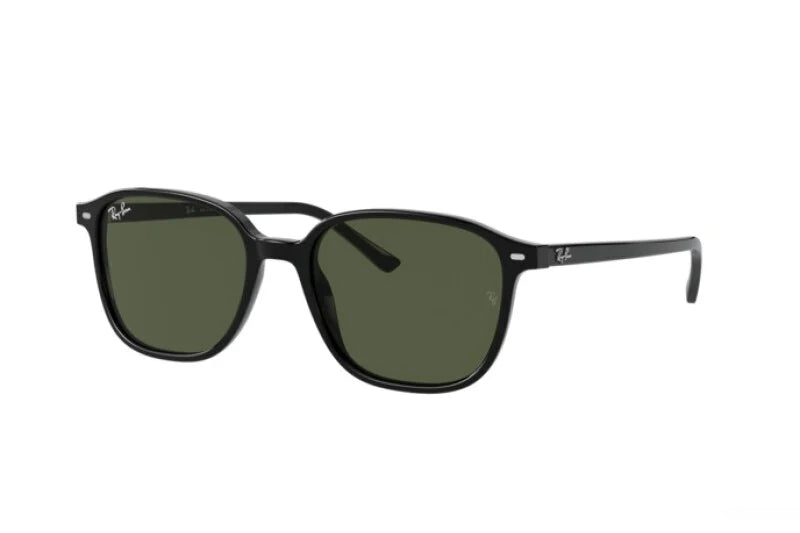 OCCHIALI DA SOLE RAY-BAN LEONARD RB 2193 (901/31) calibro 53