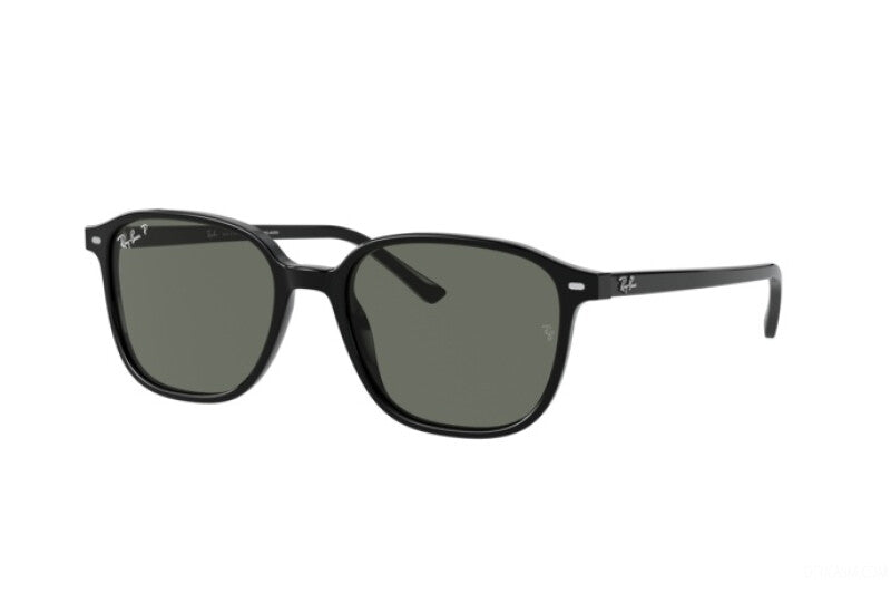 OCCHIALI DA SOLE RAY-BAN LEONARD RB 2193 (901/58) calibro 51 polarizzato