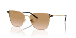 Occhiali da Sole Giorgio Armani 0AR6155 Donna Oro Pallido | Stile Icon