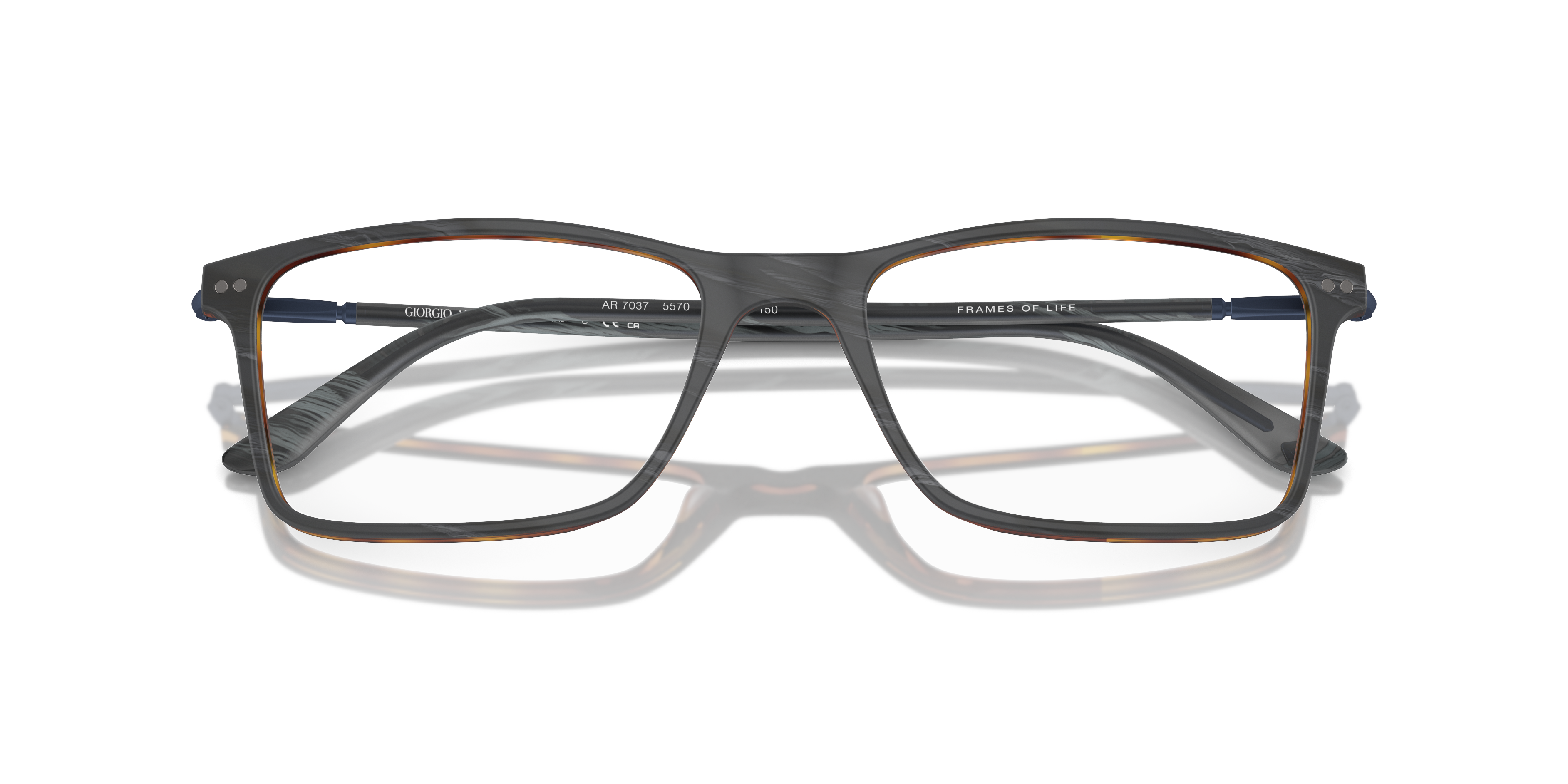 Occhiali da sole Giorgio Armani AR7037 da uomo colore marrone opaco (Havana) indossati su un modello, che ne mostrano la form