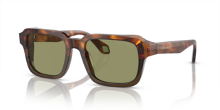 Occhiali da Sole Giorgio Armani Uomo AR8194U Havana Rosso/Verde Opale