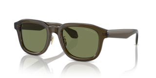 Occhiali da Sole Giorgio Armani AR8206 Transparent Green Uomo