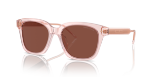 Occhiali da Sole Donna Giorgio Armani Rosa Trasparente AR8210U
