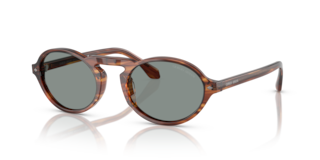 Occhiali da Sole Giorgio Armani AR8219U Striped Brown Uomo