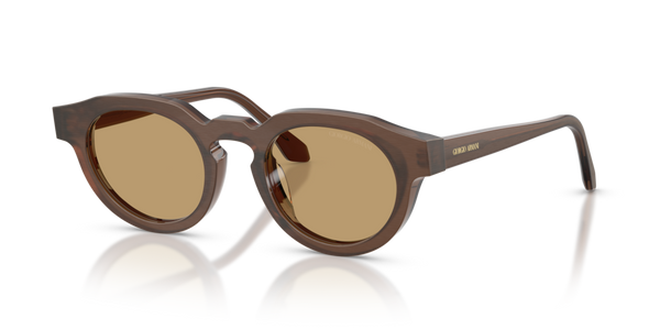Occhiali da Sole Giorgio Armani 0AR8255U Marroni - Modello Unisex