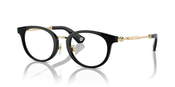Ponti ricambio originale Burberry ZBE2413D76