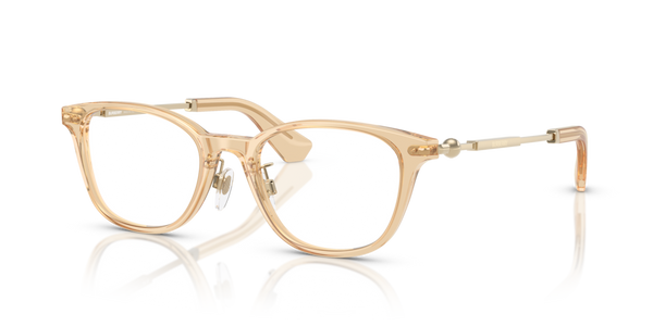 Aletta Ricambio Originale Burberry ZBE2423D42