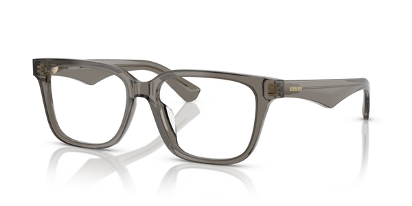Viti Cerniera Ricambio Originale Burberry ZBE2425D84