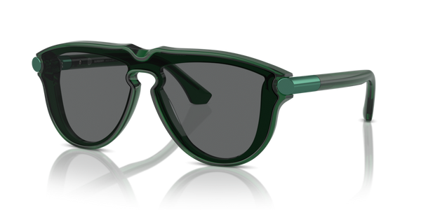 Viti Cerniera ricambio originale Burberry ZBE442784