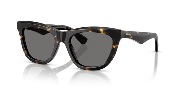 Viti Cerniera ricambio originale Burberry ZBE443584