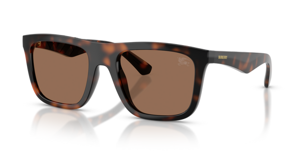 Viti Cerniera ricambio originale Burberry ZBE4458U84