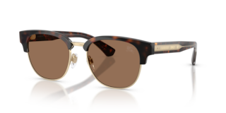 Occhiali da sole uomo Burberry BE4485 Dark Havana | Autentici