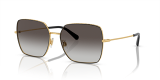 Aste ricambio originale Dolce&Gabbana ZDG224210