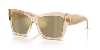 Occhiali da Sole Dolce&Gabbana Donna DG4493 Transparent Camel