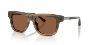 Occhiali da Sole Uomo Dolce & Gabbana DG4521 Striped Tobacco | Origina