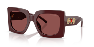 Occhiali da Sole Donna Dolce&Gabbana Bordeaux DG4525B | Stile Unico