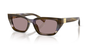 Occhiali da Sole Dolce&Gabbana DG4532 Donna Striped Olive Originali