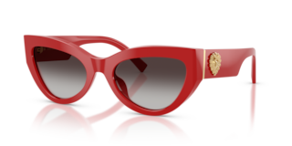 Occhiali da Sole Dolce&Gabbana DG4536 Rossi Full Red da Donna