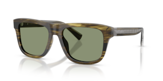 Occhiali da Sole Dolce Gabbana DG4545 Uomo - Striped Green