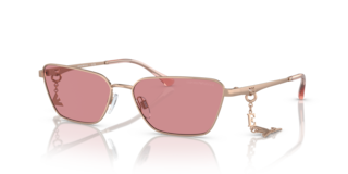 Occhiali da Sole Emporio Armani 0EA2141 Donna Oro Rosa | EA2141