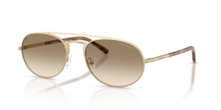 Occhiali da sole uomo Emporio Armani EA2171 Matte Pale Gold
