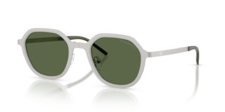Occhiali da Sole Uomo Emporio Armani EA2176 Matte Silver