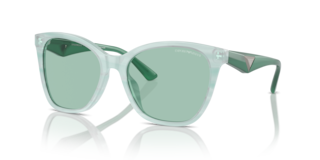 Occhiali da Sole Emporio Armani EA4222U Donna Verde a Strisce
