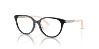 Emporio Armani EK3010 Occhiali da Sole Donna Nero Lucido