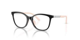 Occhiali da Sole Donna Emporio Armani EK3011U Neri Lucidi Originali