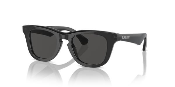 Astucci ricambio originale Burberry ZJB400240