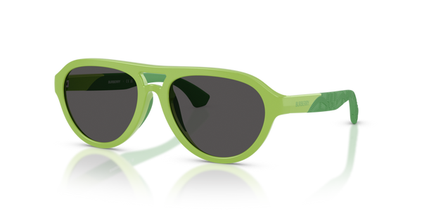 Viti Cerniera ricambio originale Burberry ZJB4005U84