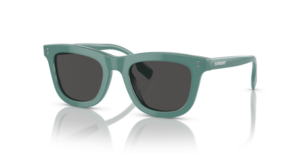 Guarnizione frontale ricambio originale Burberry ZJB435672