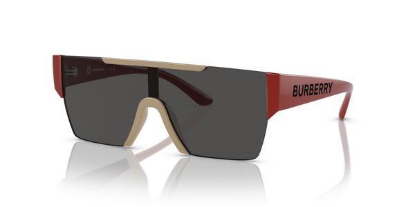 Viti Cerniera ricambio originale Burberry ZJB438784