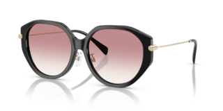 Occhiali da Sole Michael Kors Donna Neri Jinan 0MK2248D - Stile MK