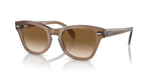 Astucci ricambio originale Ray-Ban ZRB0707S40