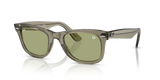 Ray-Ban Wayfarer 0RB2140 Verde Trasparente | Occhiali da Sole Original