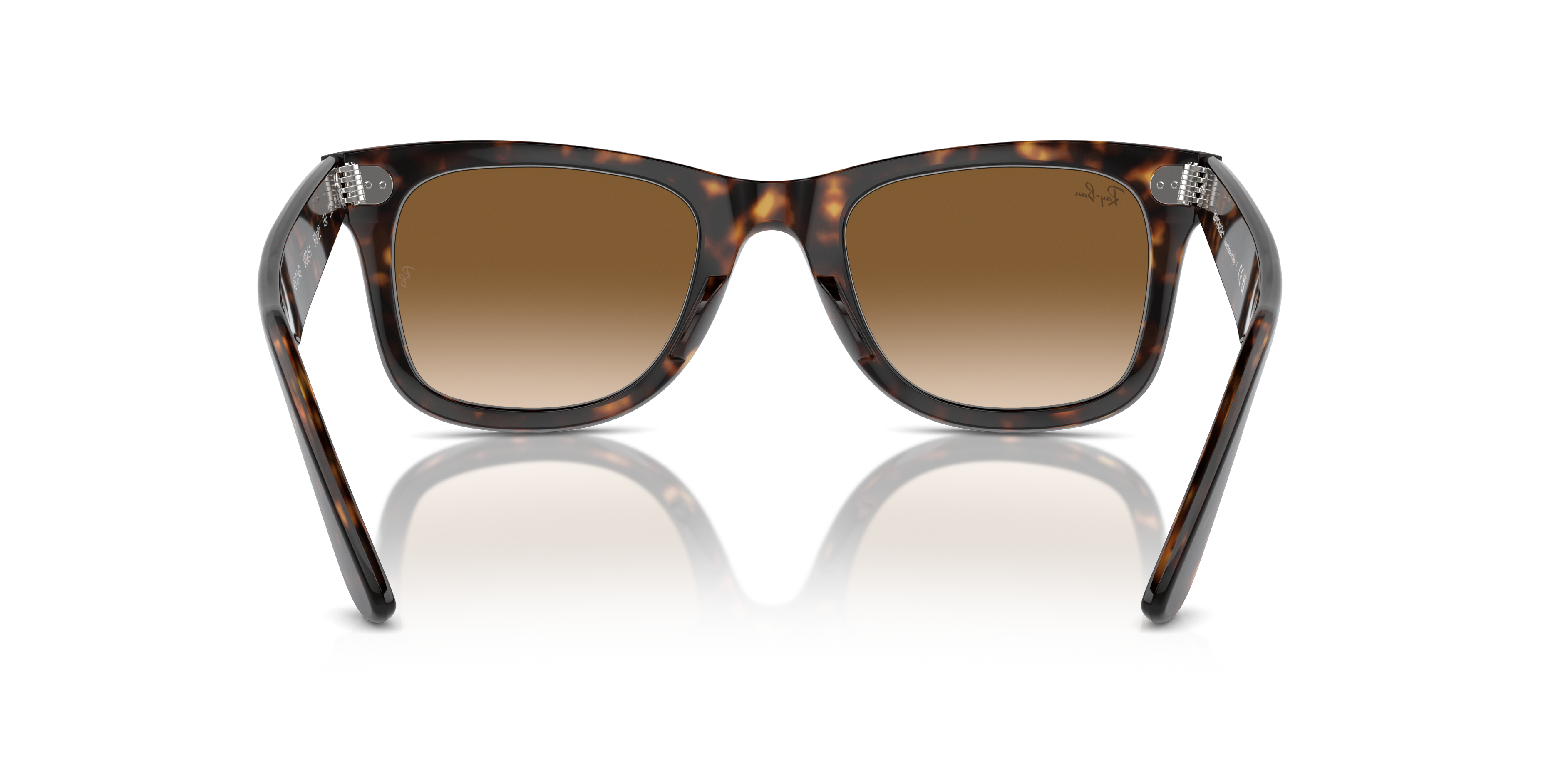 Ray-Ban Wayfarer 0RB2140 Verde Trasparente | Occhiali da Sole Original