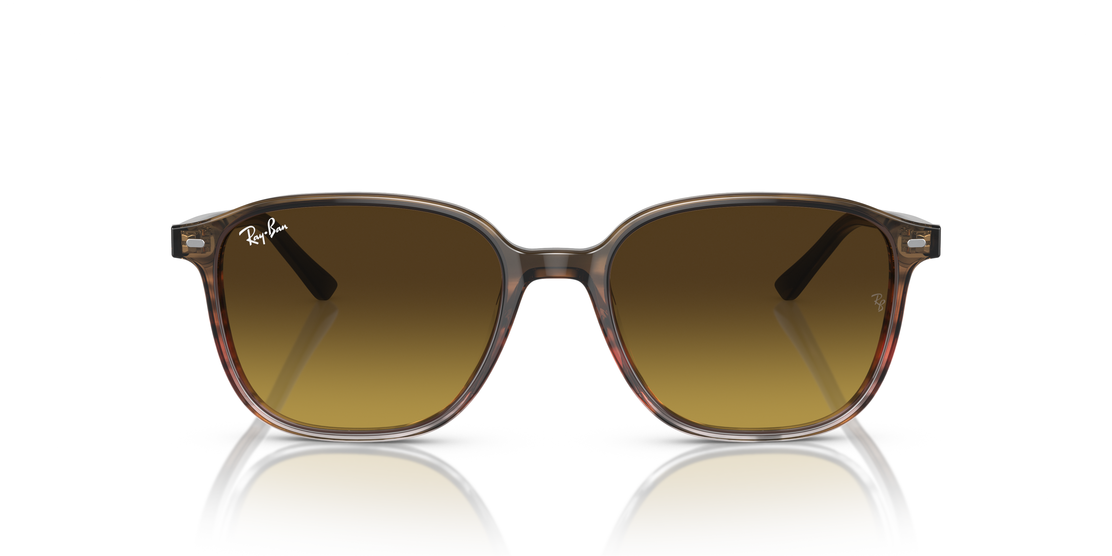 SUNGLASSES RAY-BAN LEONARD RB 2193 (901/58) caliber 51 polarized