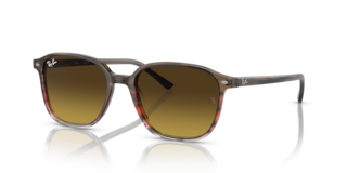 Occhiali da sole Ray-Ban Leonard 0RB2193 Striped Brown & Red
