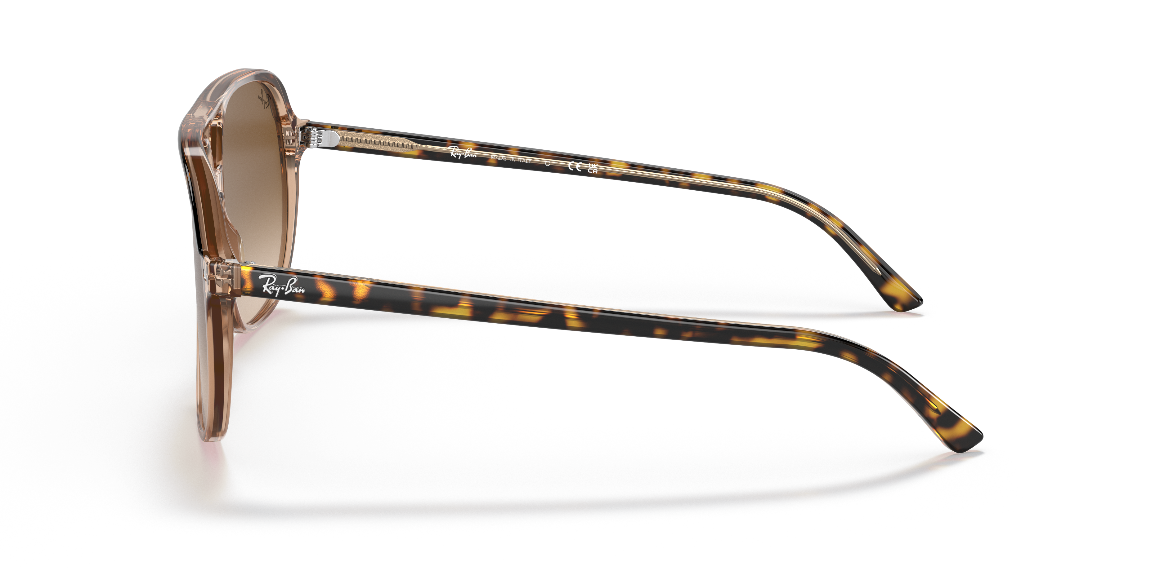 Occhiali da Sole Ray-Ban Bill Havana On Transparent Brown | Unisex