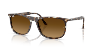 Occhiali da Sole Ray-Ban RB2216 Havana Yellow Turtle Originali