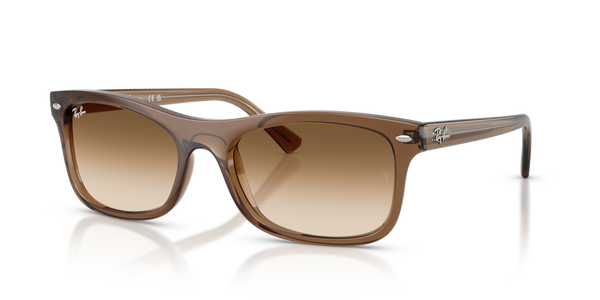 Guarnizione Frontale ricambio originale Ray-Ban ZRB222672