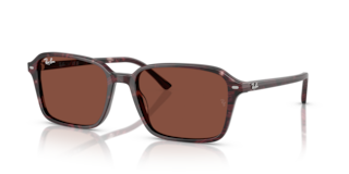 Occhiali da Sole Ray-Ban Raimond Transparent Fantasy Violet & Red