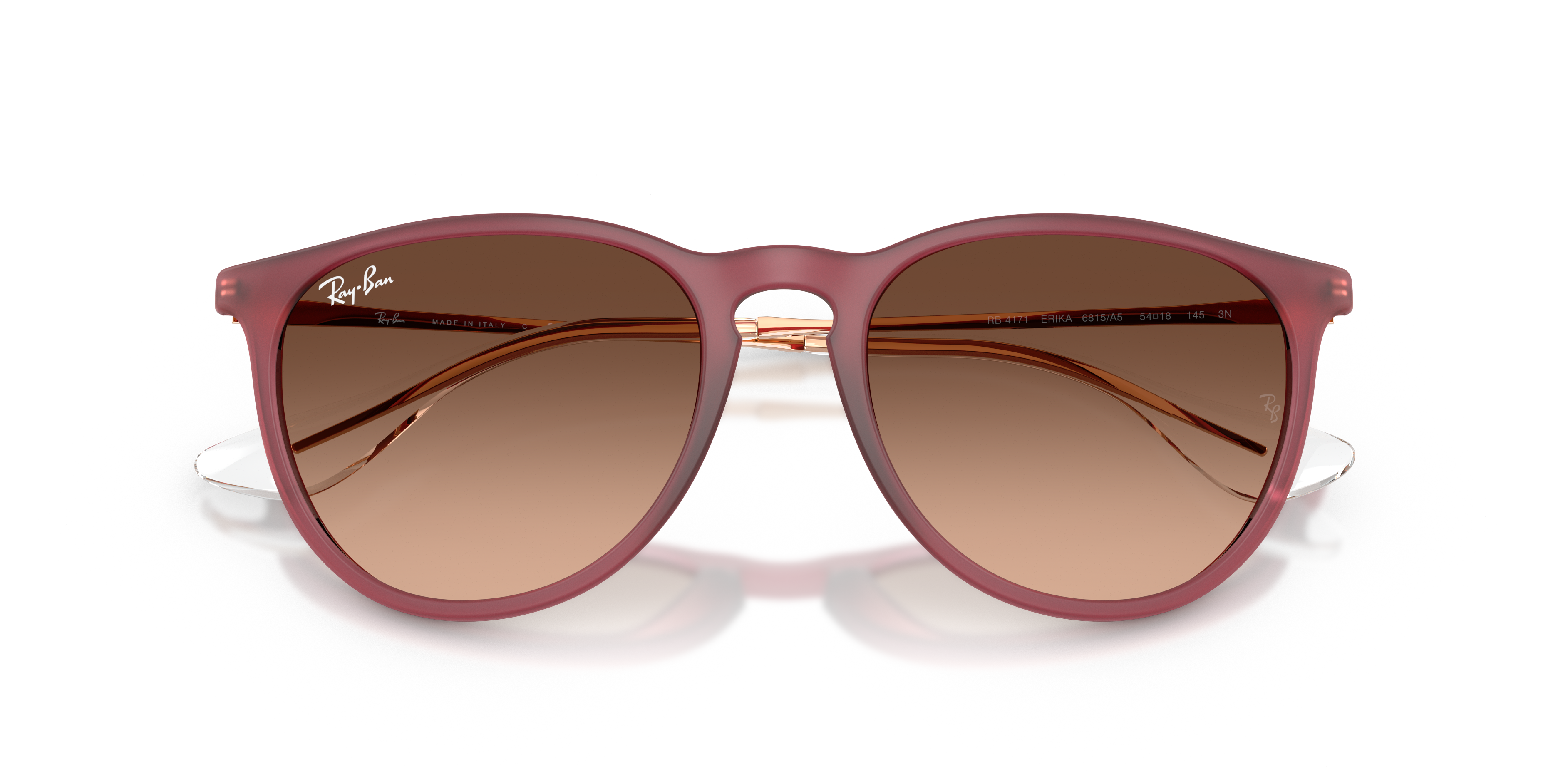 Occhiali da sole Ray-Ban Erika donna neri | Modello 0RB4171