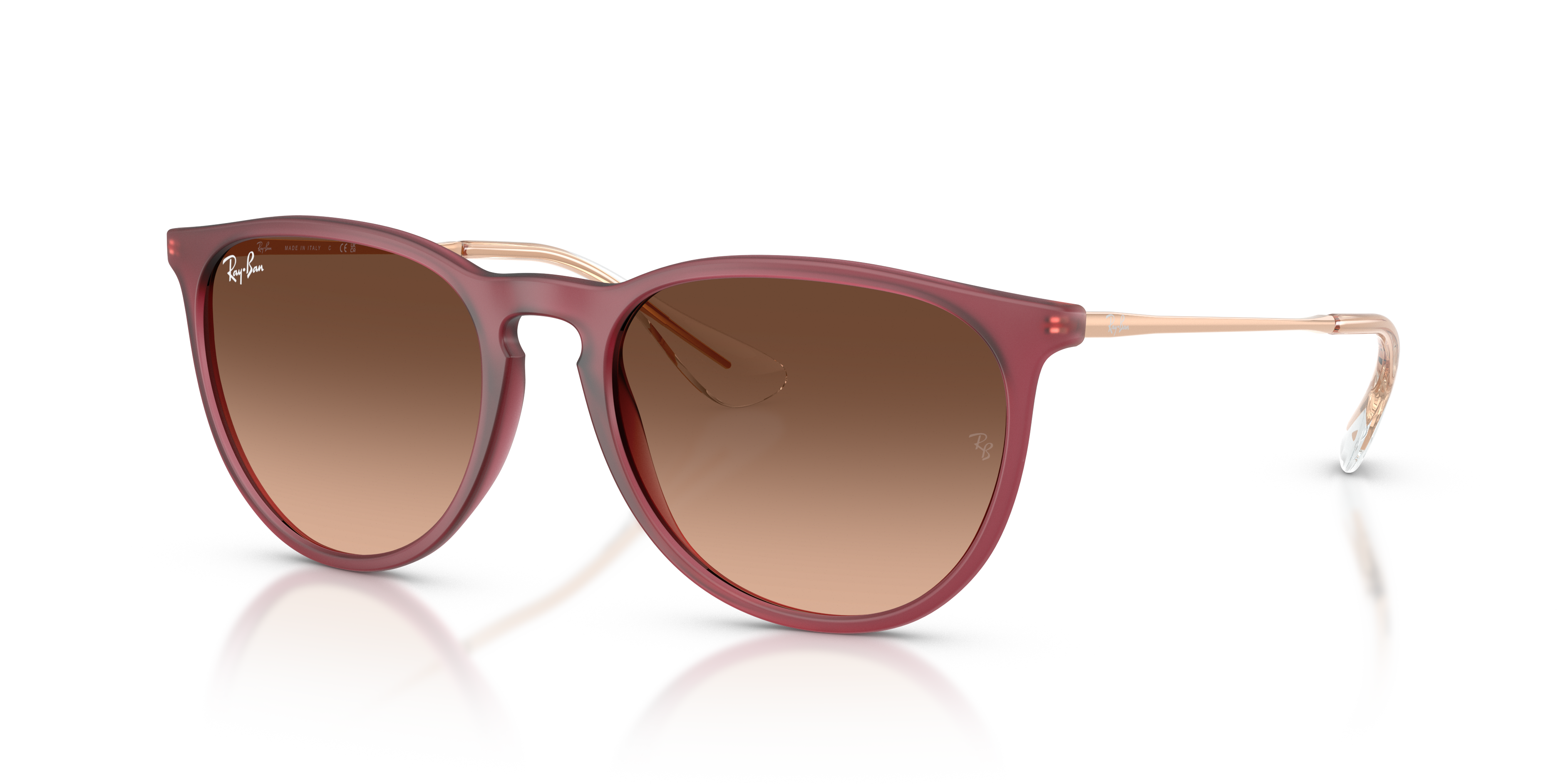 Occhiali da sole Ray-Ban Erika donna neri | Modello 0RB4171