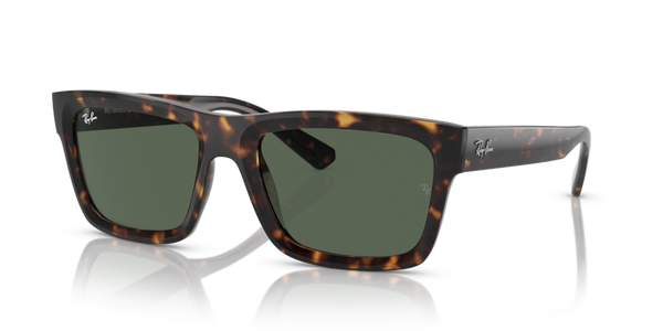 Astucci ricambio originale Ray-Ban ZRB439640