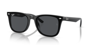 Occhiali da Sole Ray-Ban RB4420 Neri | Modello Unisex Autentico